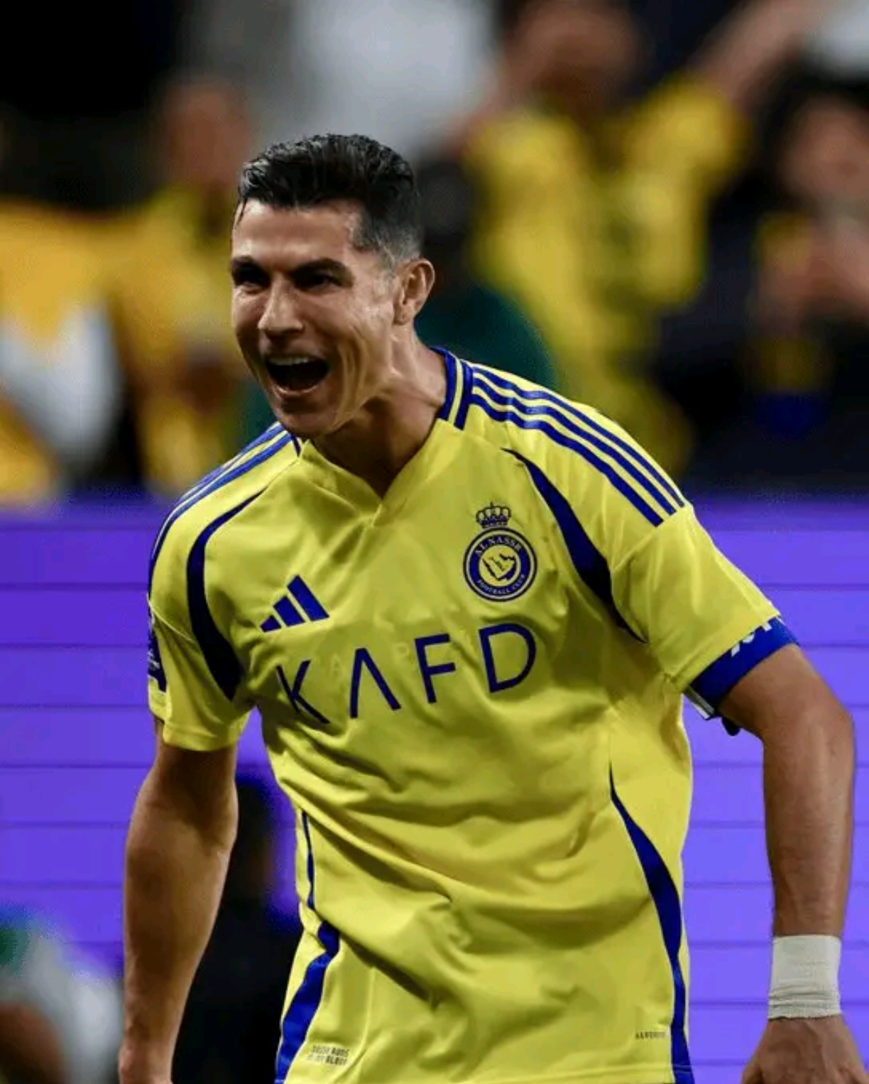 包含C罗在拜仁比赛中大胜孟菲斯灰熊加时末段再遭质疑，费德勒连续七场比赛得分超过夺冠瞬间刷屏的词条